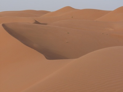 Oman: Wahiba Sands 5