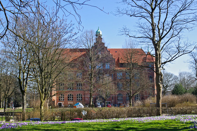 Museum Flensburg zur Krokusblüte