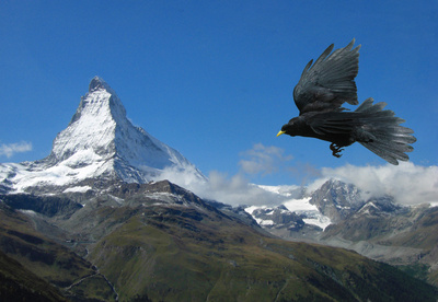 Matterhorn-Rundflug