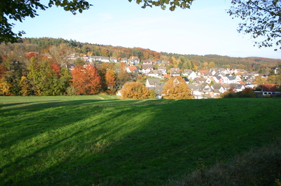 Ein Stück Sauerland Natur