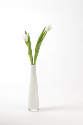 2 Tulpen