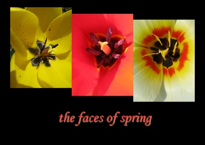 the faces of spring
