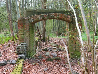 Ruinen im Wald