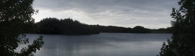 Panorama "See in den Everglades"