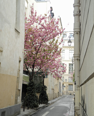 In den Straßen von Paris (2)
