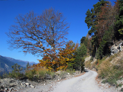 Bergweg