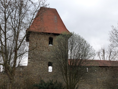 Stadtmauer Alzey 1