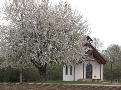 Flurkapelle im Frühling