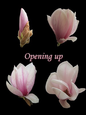 Opening up