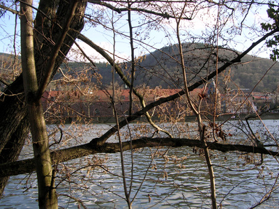 Blick über den Neckar in Heidelberg