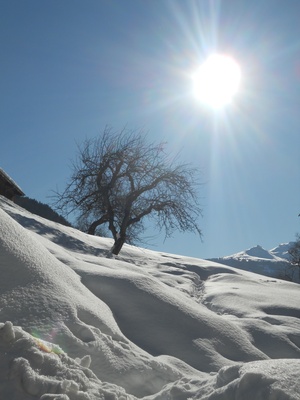 Winterlandschaft