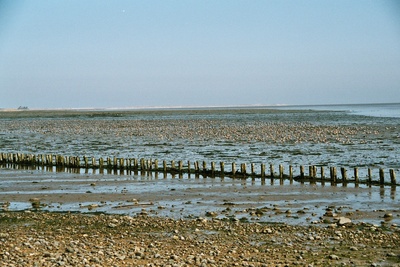 Wattenmeer auf Amrum 2003