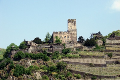 Burg Gutenfels am Rhein #5