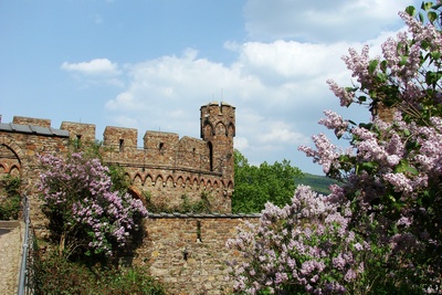 Burg Sooneck zu Niederheimbach #15