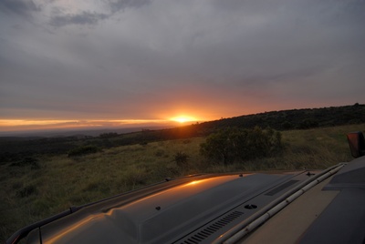 Safari  - Sonnenuntergang