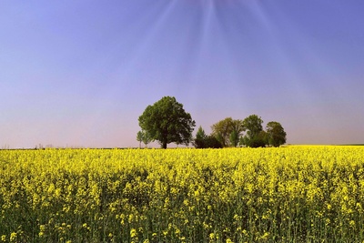 ein sonniger Tag