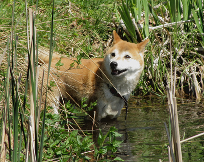 Baden? Nee!