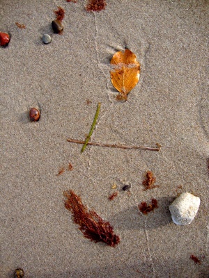 Herbstblätter am Strand