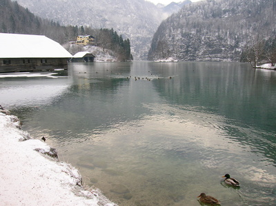 Königssee im Winter