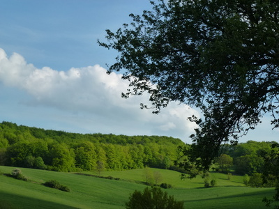 Landschaft im Frühling