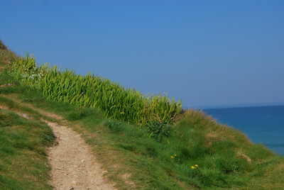 Porth Kidney Sands