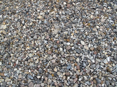 Steine am Strand auf Fehmarn