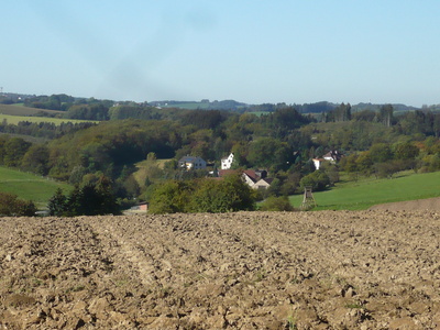 Im Sauerland Natur