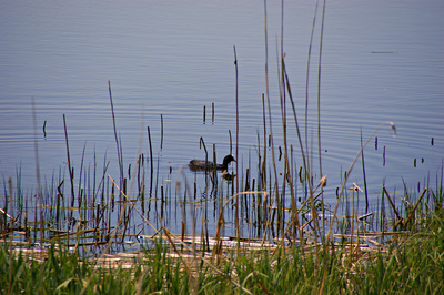 Idylle am See