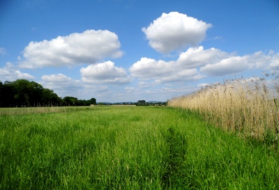 wolken ziehn übers land.....