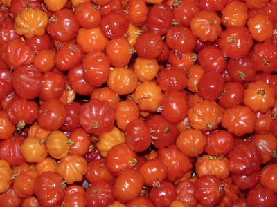 Rote Früchte