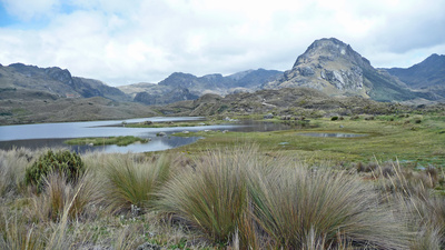 Rauhe Landschaft im Hochland der Anden