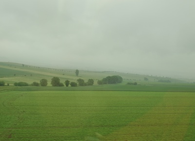 grüne Landschaft