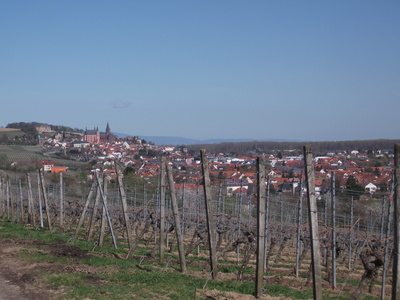 Blick nach Oppenheim