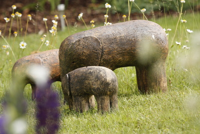 Elefanten im Garten