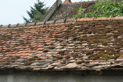 alte Dachziegeln mit Moos bedeckt