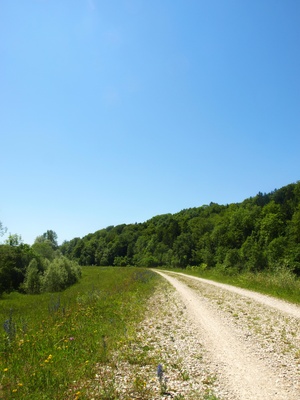 Wandern an der Isar