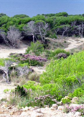 schönes mallorca