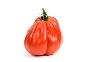 Tomaten 79