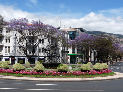 Frühling in Funchal
