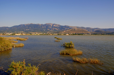 Der Salzsee Alykes