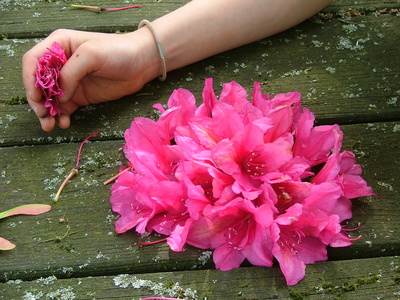 Blüte in Kinderhand