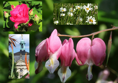 Botanischer Garten ( Schloss Münster )