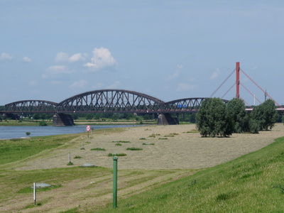 Rheinbrücken