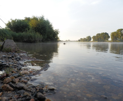 Früher Sommermorgen am Fluss
