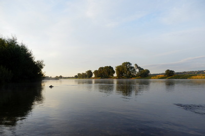 Früher Sommermorgen am Fluss
