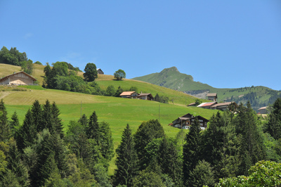 Berner Voralpenlandschaft mit Suggiture (2085 m)