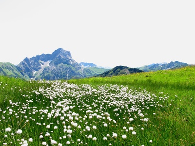 Sommer in den Bergen