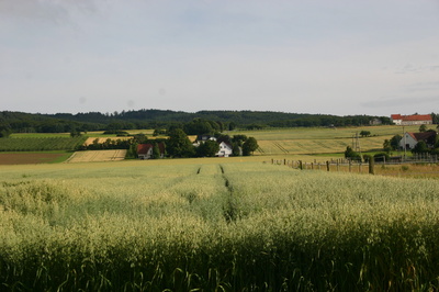 Landschaft Natur