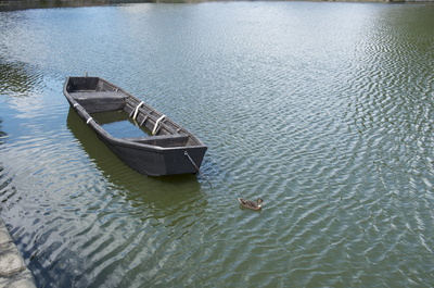 Ente zieht Boot