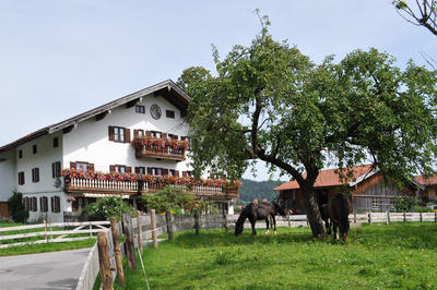 Bayern - Pferdehof